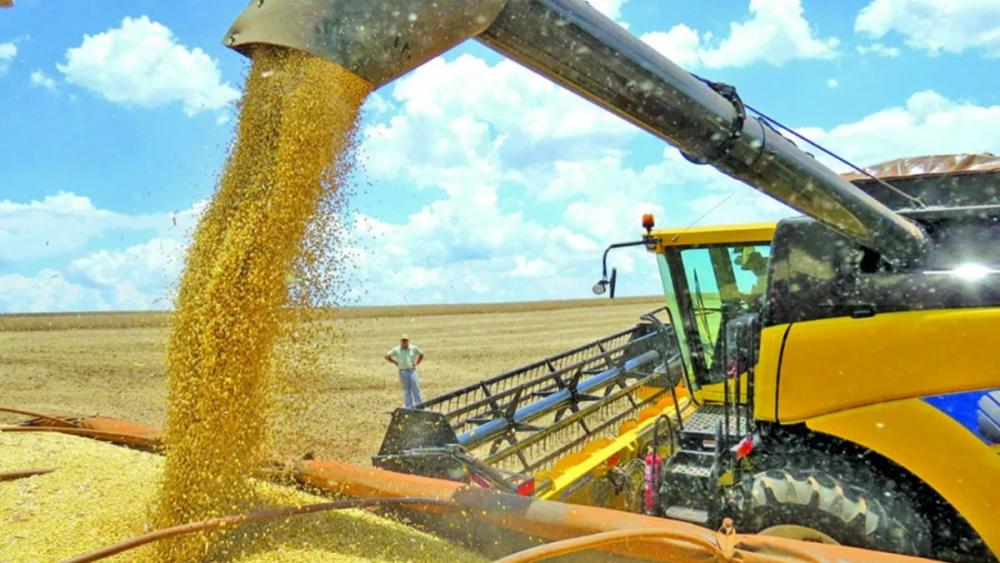 Colheita da soja atinge 96,6%. Confira os estados que já concluíram