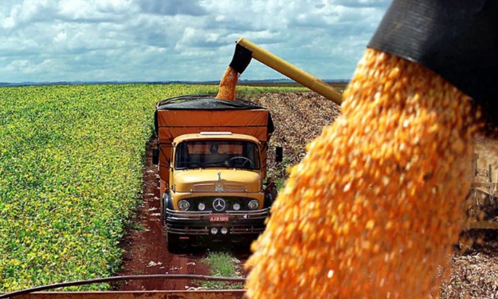 China pode cancelar compra de milho dos EUA em prol de opção mais barata do Brasil