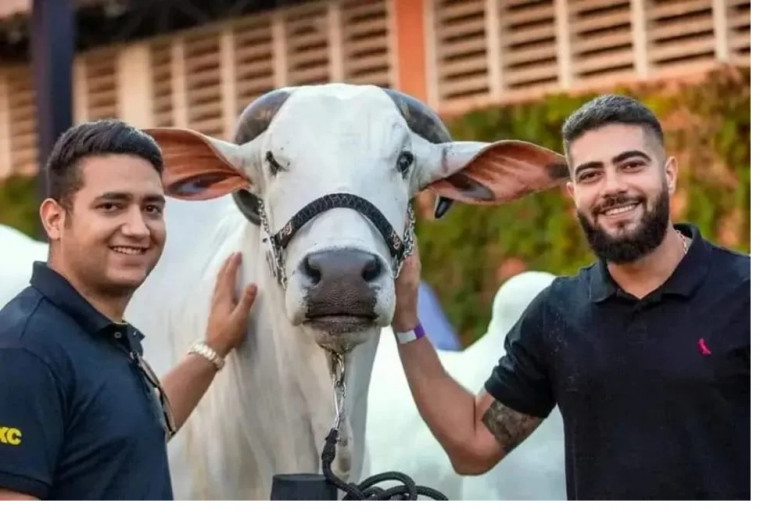Leilão em fazenda de Henrique e Juliano no Tocantins fatura R$ 56 milhões e bate recorde
