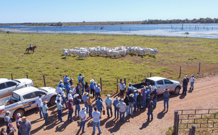 William Teixeira/ Governo do Tocantins