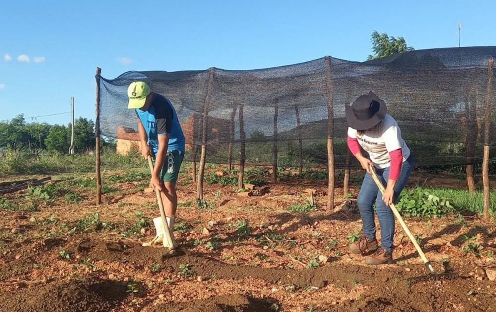 Contag pede redução de juros para aumentar a produção de alimentos