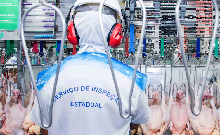 Tocantins toma medidas de precaução contra gripe aviária