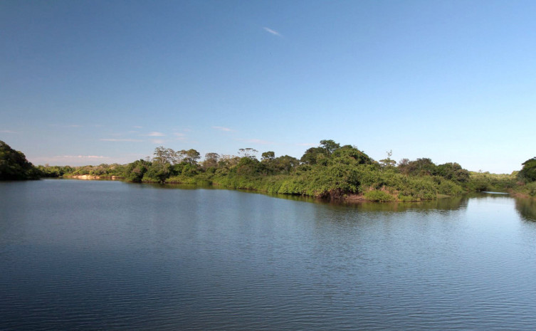 Tocantins publica edital para viabilizar venda de créditos de carbono