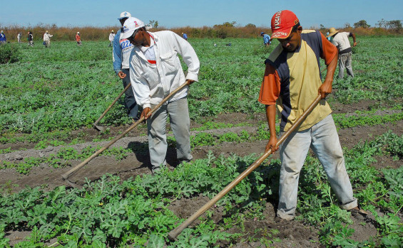 Tocantins vai investir mais de R$ 600 mil em treinamento e capacitação de técnicos do Ruraltins para ampliar o crédito rural